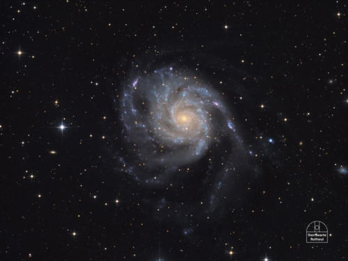 Galaxie M101