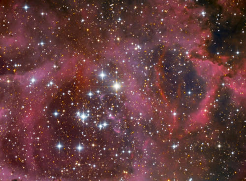 Rosettennebel mit NGC2244